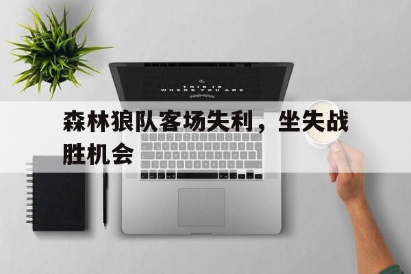 亚博体育平台-森林狼球队